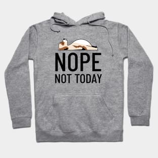 Nope Not Today Hoodie